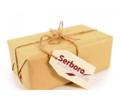 Ofer servicii profesionale de transport masini